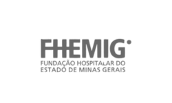 FHEMIG